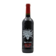 Medusa Young Rosso 2021