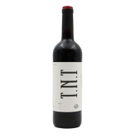 Almeida Garret TNT Tinto 2019