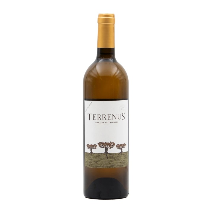 Terrenus Blanco 2022