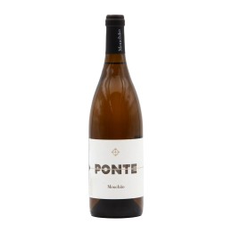 Ponte Mouchão White 2024