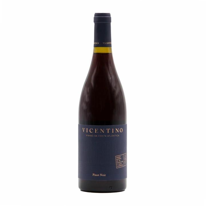 Vicentino Pinot Noir Red 2020
