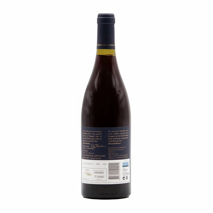 Vicentino Pinot Noir Rot 2020