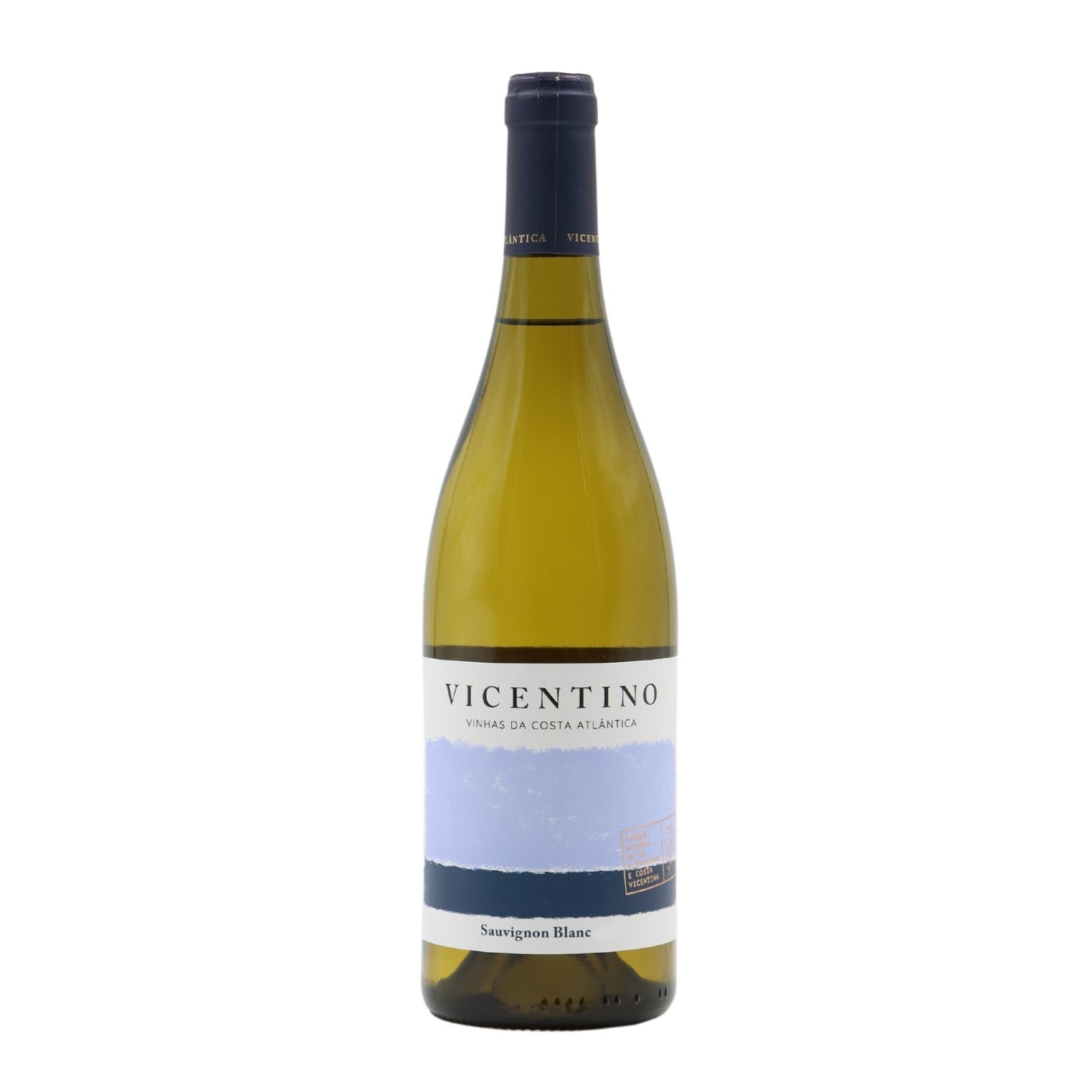 Vicentino Sauvignon Blanc White 2023