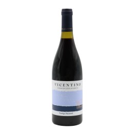 Vicentino Touriga Nacional Tinto 2020
