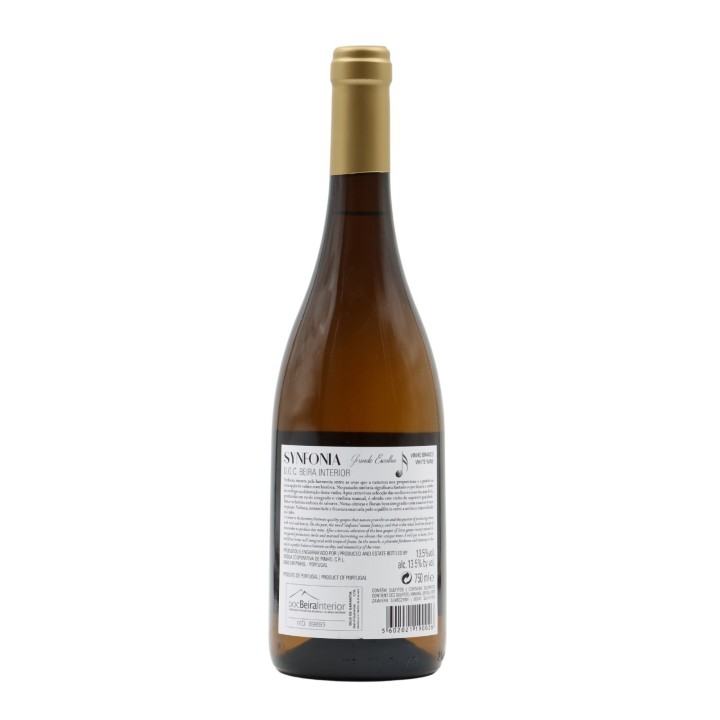 Synfonia Grand Selection Síria White 2021