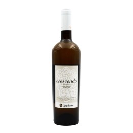 Crescendo Weiß 2019