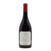 Campolargo Pinot Noir Tinto 2022