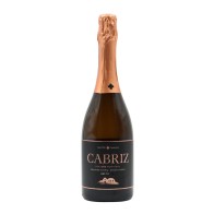 Cabriz Bruto Espumoso 2019