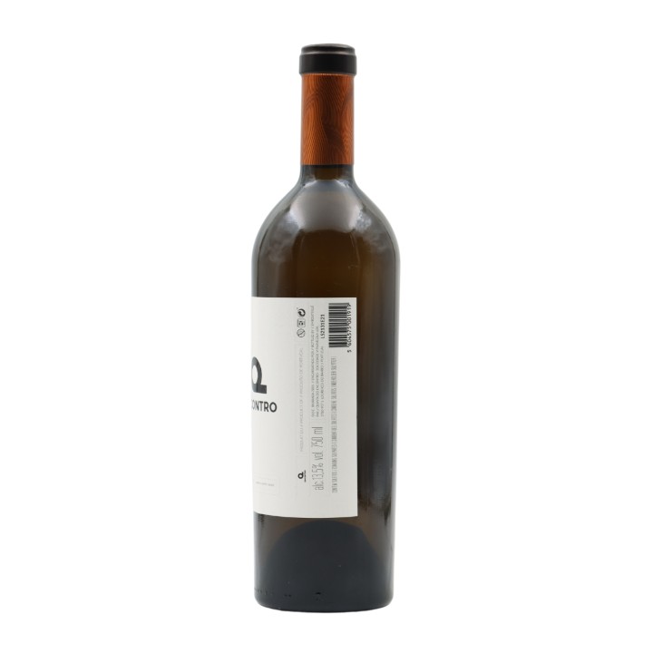 Encontro 1 White 2015