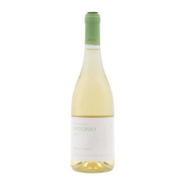 Terras de Santo António Blanc 2021