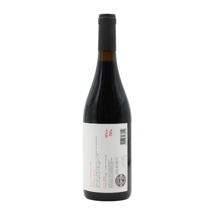 Boina Red 2020