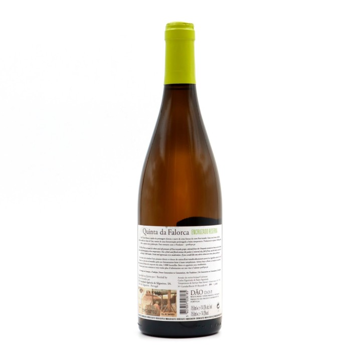 Quinta da Falorca Reserve White 2023
