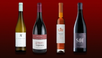 Nouvelles de la région du Vinho Verde