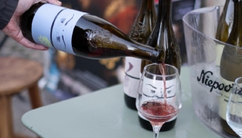 De Norte a Sur, los vinos Nat Cool