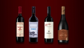 Neues aus der Region Alentejo