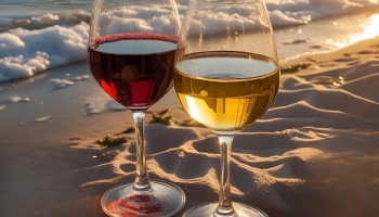 Les vins de l'Algarve, un monde à découvrir