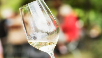 Os melhores brancos do Douro até 10 euros