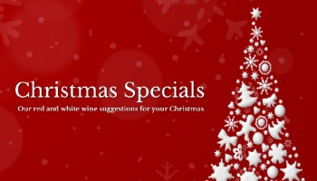 Nos suggestions de vins rouges et blancs pour Noël
