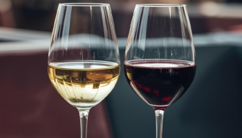 Good Aging, Good Price: Wines Prior to 2020 for Less than €20
