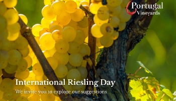 Today we celebrate International Riesling Day