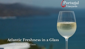 La freschezza dell'Atlantico in un bicchiere: i vini costieri portoghesi