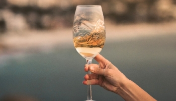 Les meilleurs vins d'Arinto en boutique – fraîcheur et élégance à votre table