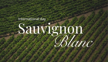 Célébrez la Journée internationale du sauvignon blanc avec une touche portugaise