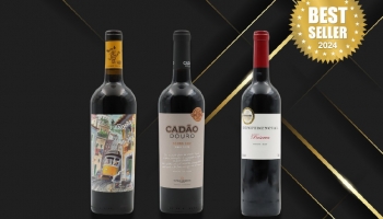 BEST-SELLERS 2024: Our members' favorite reds