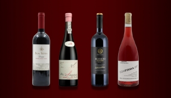 News from the Douro region