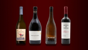 News from the Lisboa region