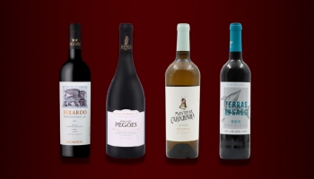 News from the Setúbal region