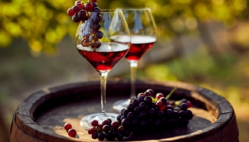 The world most popular red grapes in single varietal wines