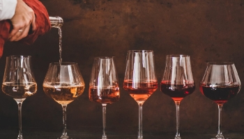 What's new in the south of Portugal