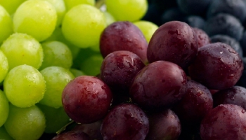 Rare grape varieties - the Portuguese identity