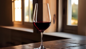 Alicante Bouschet for less than 15 euros