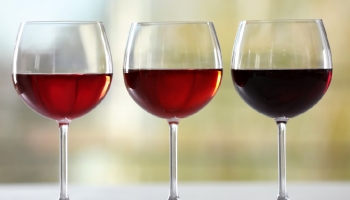 The winners of the Trás-os-Montes Wine Competition 2025