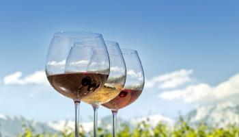 Weine, die vom Magazin Revista de Vinhos mit „Good Buy 2025” bewertet wurden