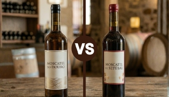Douro Muscat vs Setúbal Muscat: Two Styles, One Passion