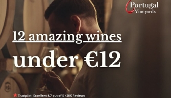 12 amazing wines for under €12