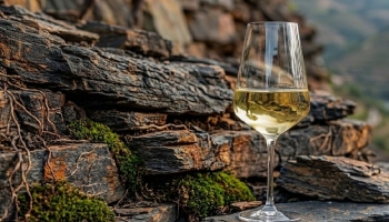 Mineral Wines: Myth or Reality?