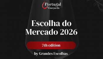 Discover Some of the Winners of the “Escolha do Mercado 2026”